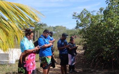 data collection